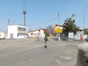 Dityatky