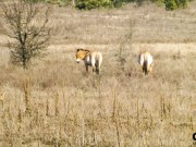 DSCF0739_edited