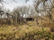 DSCF0865