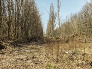 DSCF1329