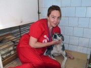 Černobyl 2017 - Kastrace toulavých psů