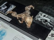 Muzeum Černobylu - Kyjev