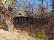 IMG_20191020_113811