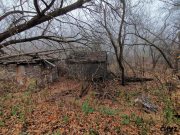 IMG_20191021_074626