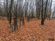 IMG_20191021_094309