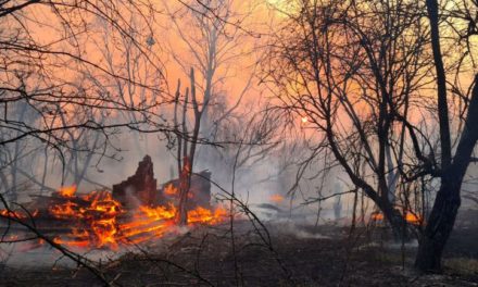 V Černobylské zóně hoří. Policie už má viníka