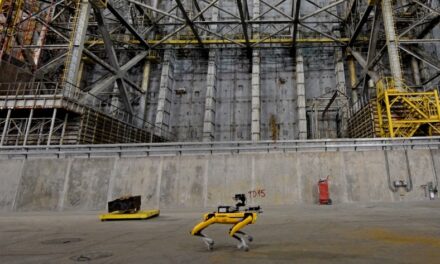 Po Černobylu se procházel robotický pes