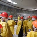 Tragédie v Černobylu – kvůli ruské mině zahynul kůň Převalského